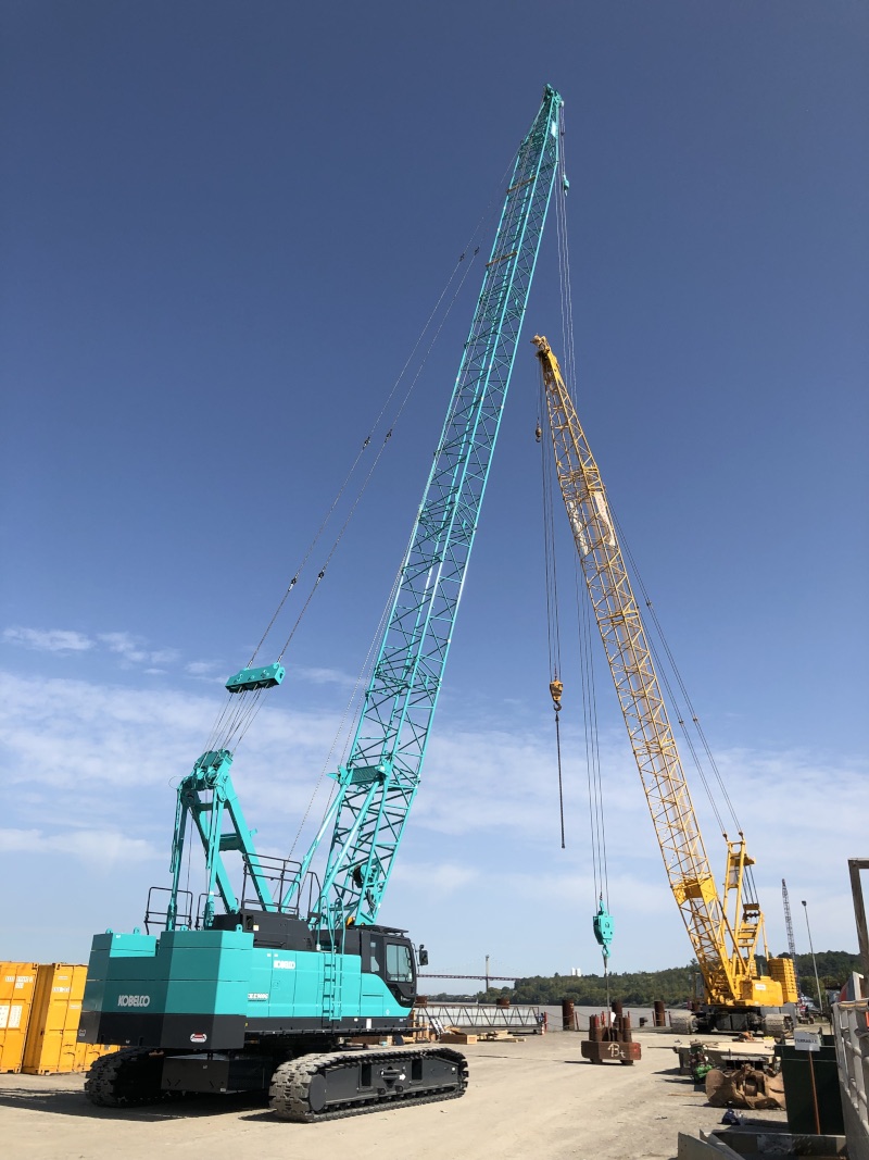 Les grues de Balineau